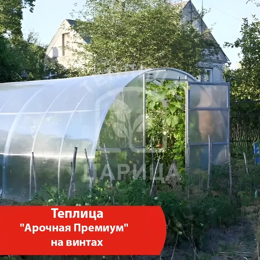 Теплицы - купить недорого в интернет-магазине Теплица Царица в Братске